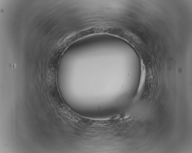 X0000067520773200604071320