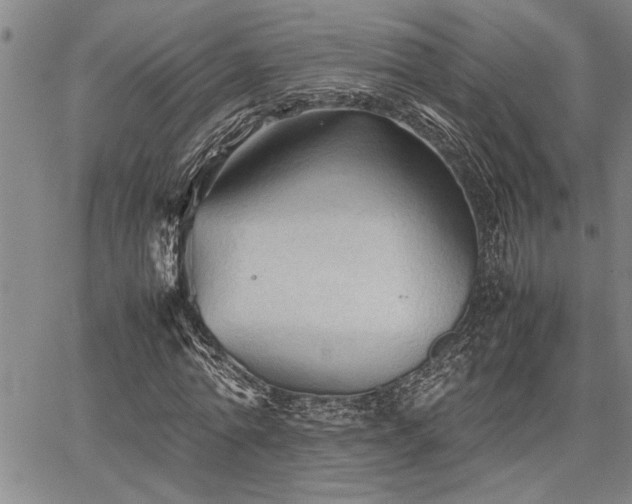 X0000067520774200604071320