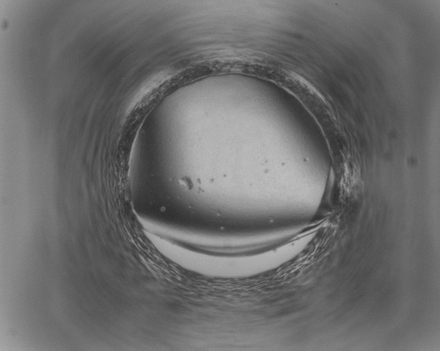 X0000067520775200604071320