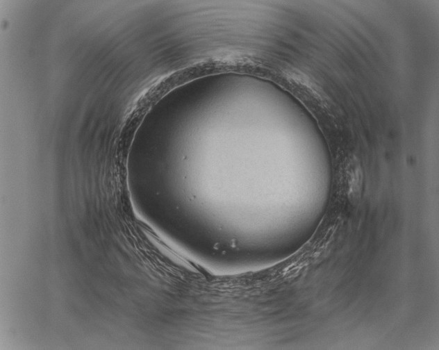 X0000067520776200604071320