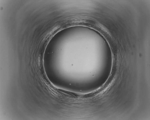 X0000067520777200604071320