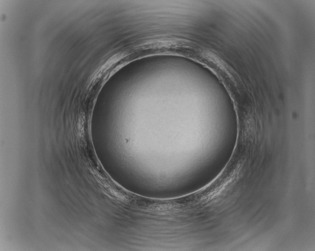 X0000067520778200604071320