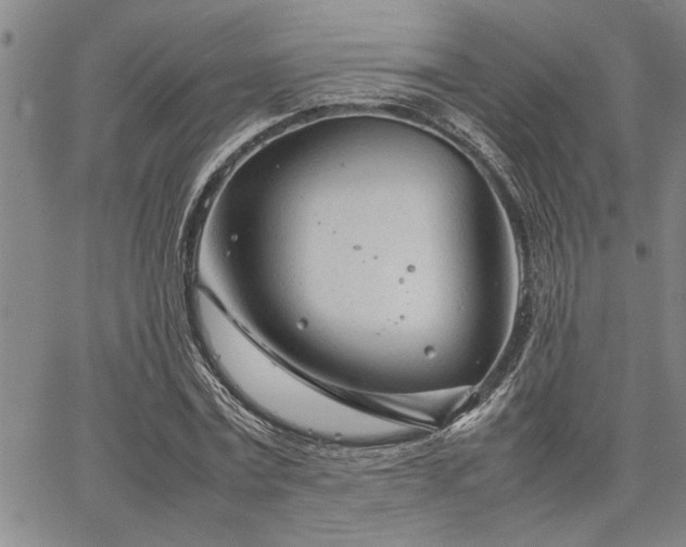 X0000067520779200604071320