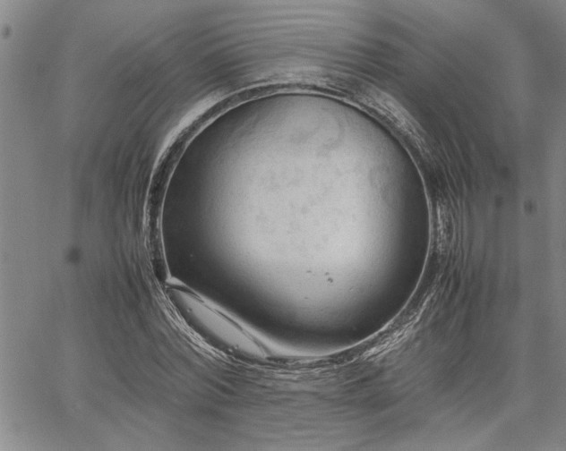 X0000067520780200604071320