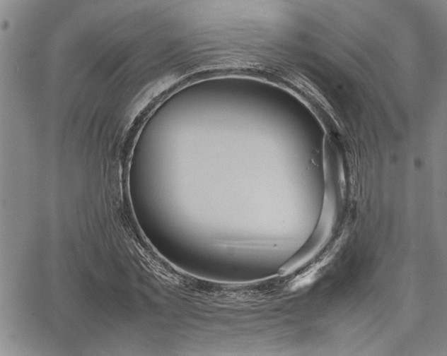 X0000067520781200604071320