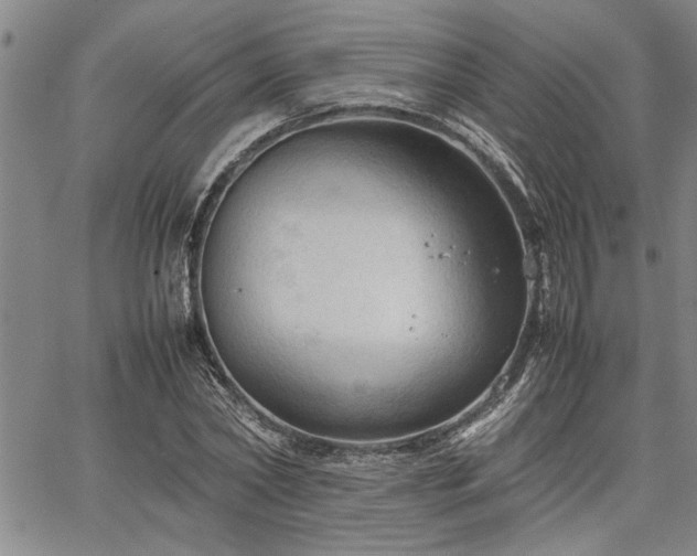 X0000067520782200604071320