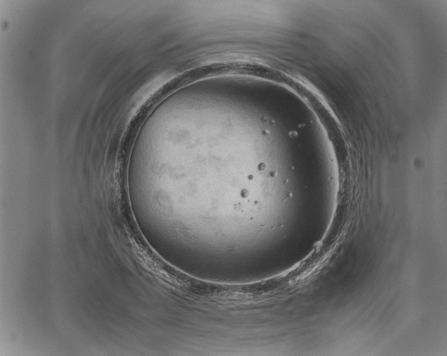 X0000067520783200604071320