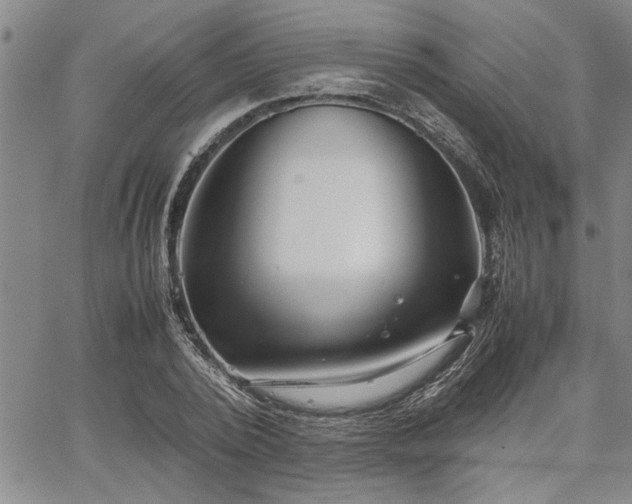 X0000067520784200604071320