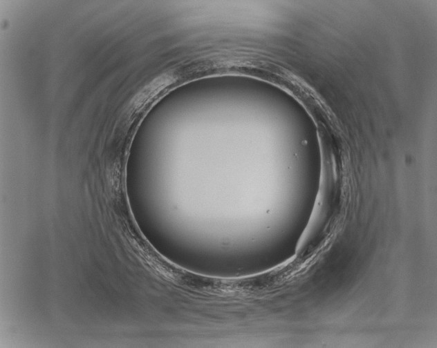 X0000067520785200604071320