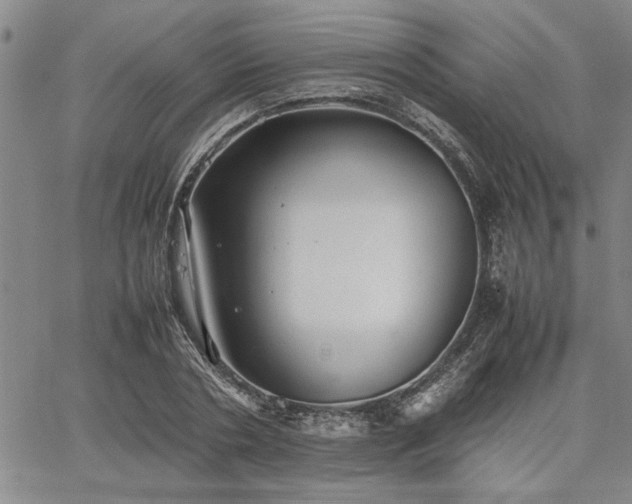 X0000067520786200604071320