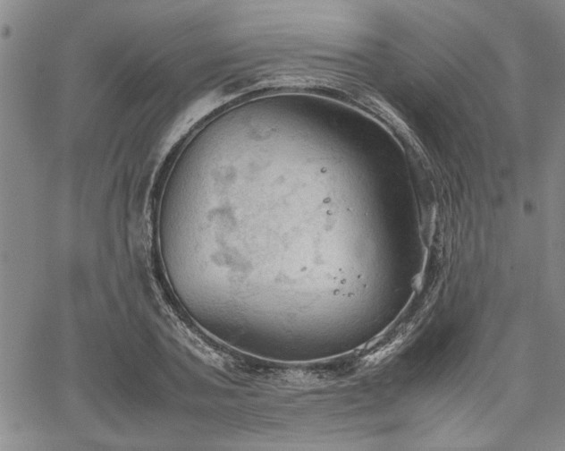 X0000067520787200604071320