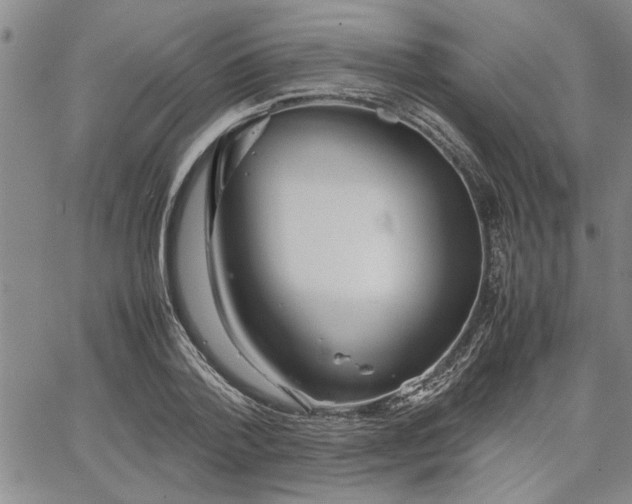 X0000067520788200604071320