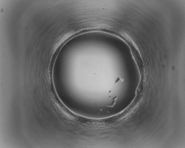 X0000067520789200604071320