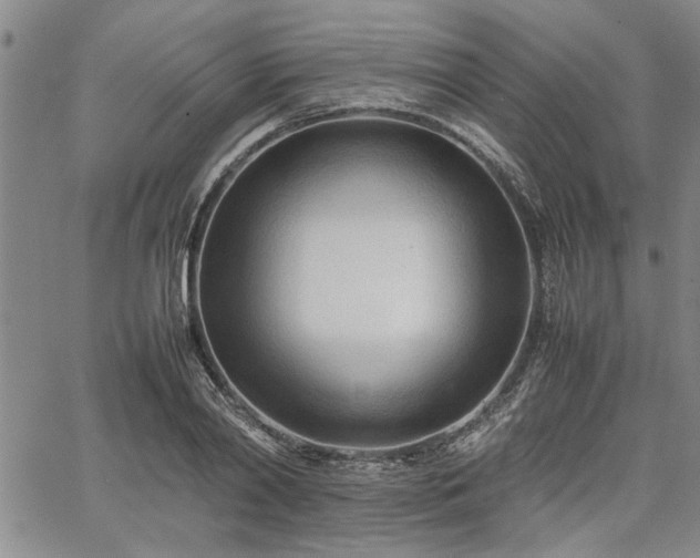 X0000067520790200604071320