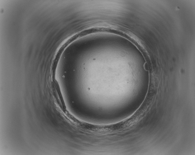 X0000067520791200604071320