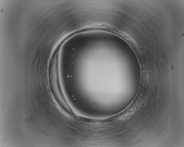 X0000067520792200604071320