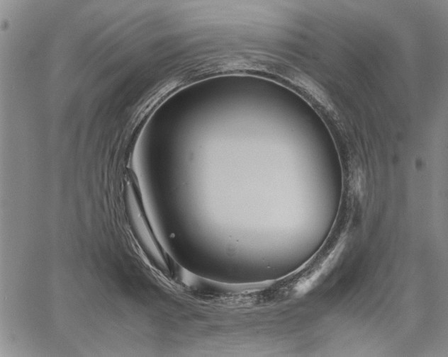 X0000067520793200604071320