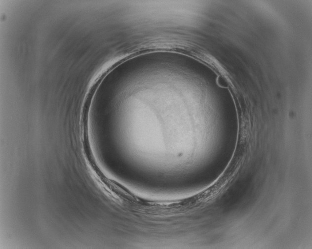 X0000067520795200604071320