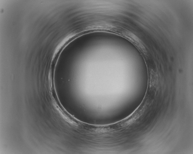 X0000067520796200604071320