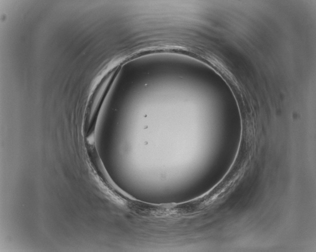 X0000067520797200604071320