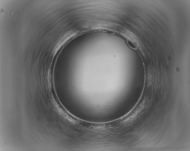 X0000067520798200604071320