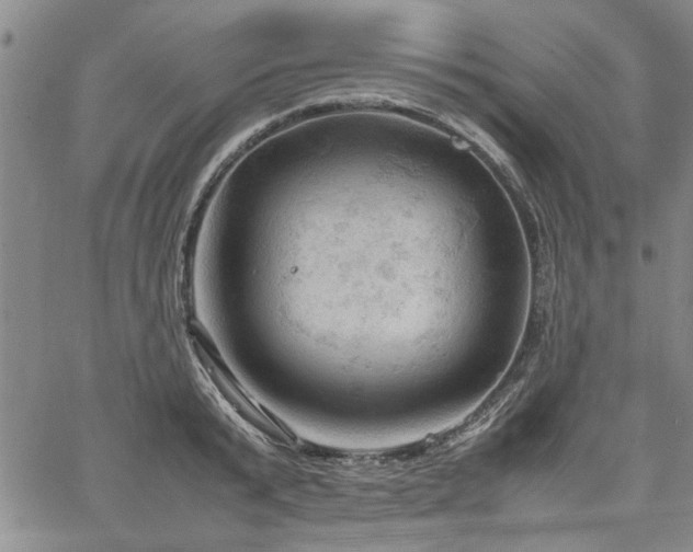 X0000067520799200604071320