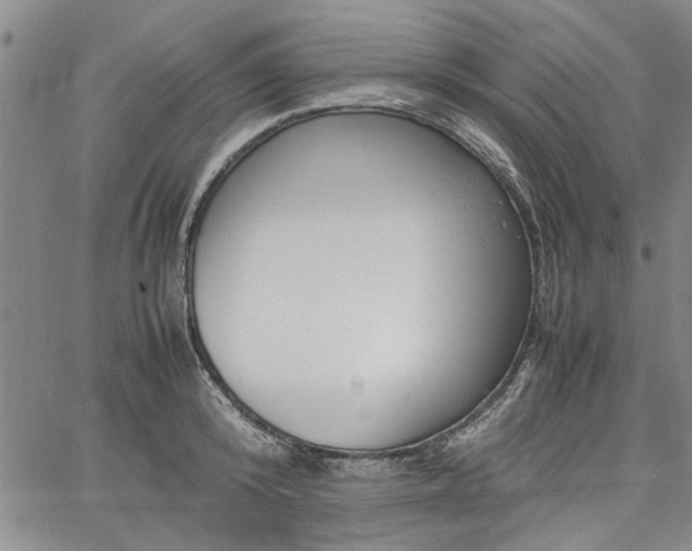 X0000067520800200604071320