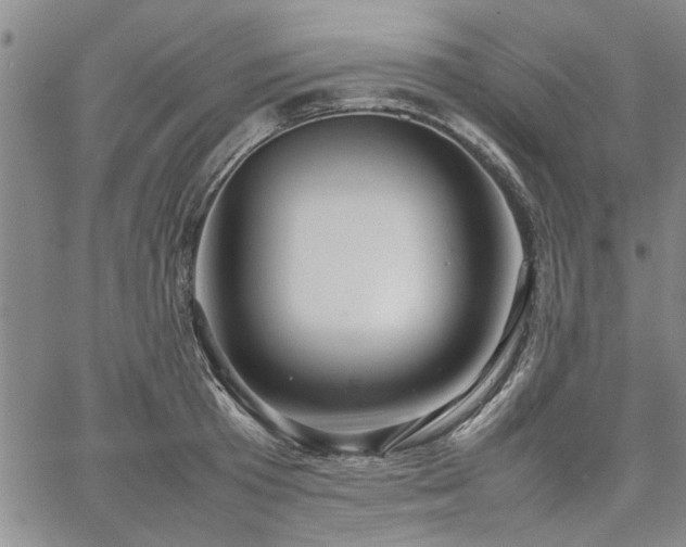 X0000067520801200604071320