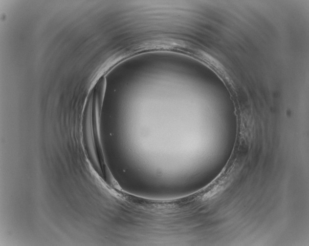 X0000067520802200604071320