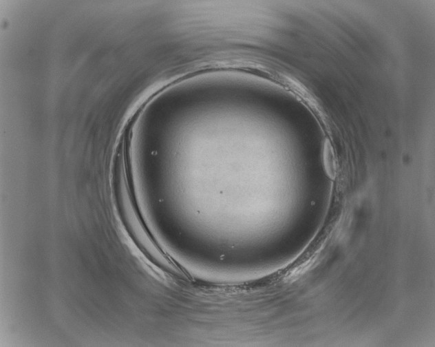 X0000067520803200604071320