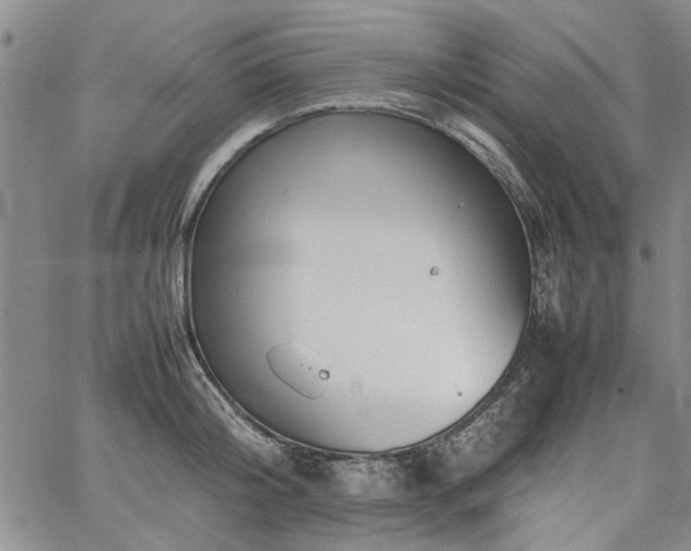 X0000067520804200604071320