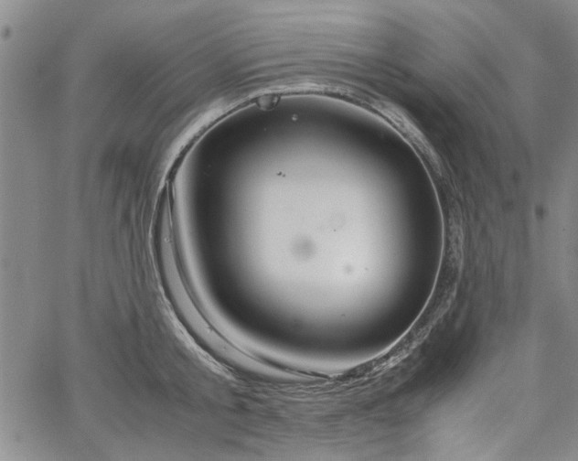 X0000067520805200604071320