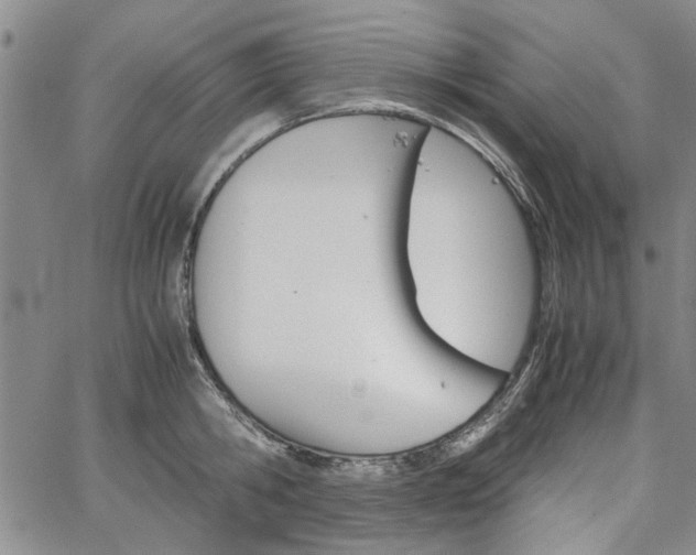 X0000067520806200604071320