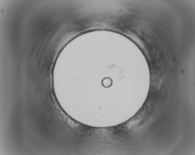 X0000067520807200604071320