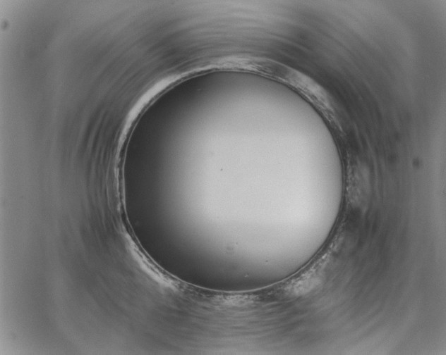 X0000067520808200604071320