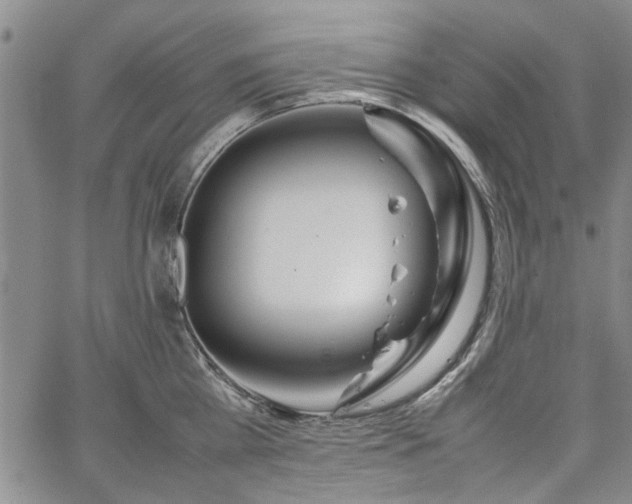 X0000067520809200604071320