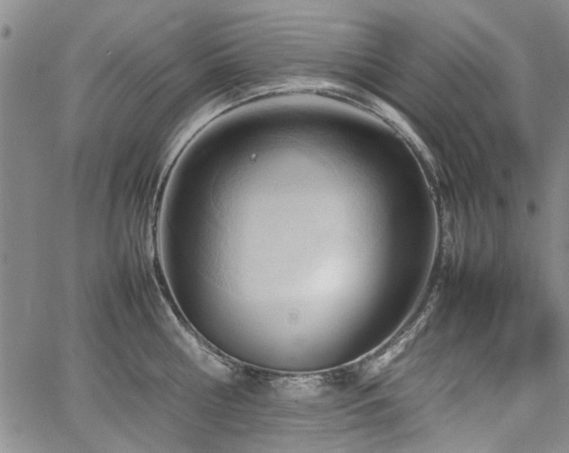 X0000067520810200604071320