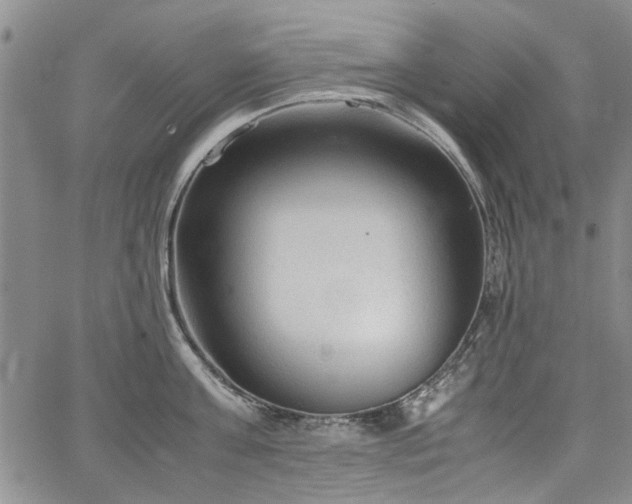 X0000067520811200604071320