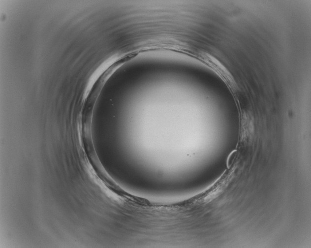 X0000067520812200604071320