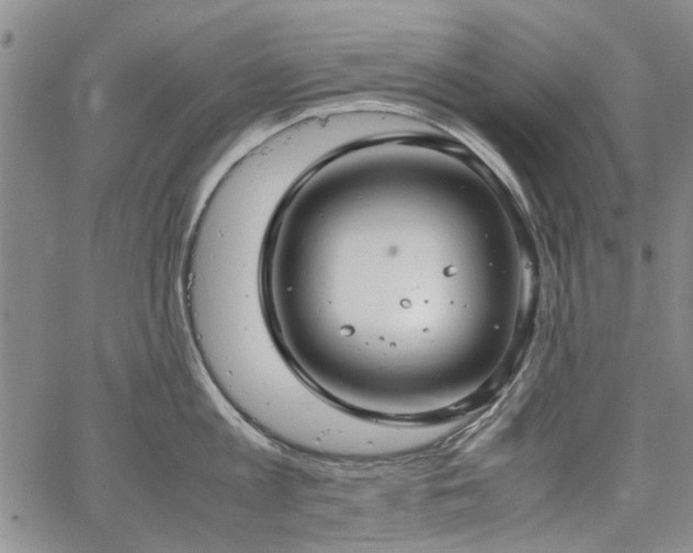 X0000067520813200604071320