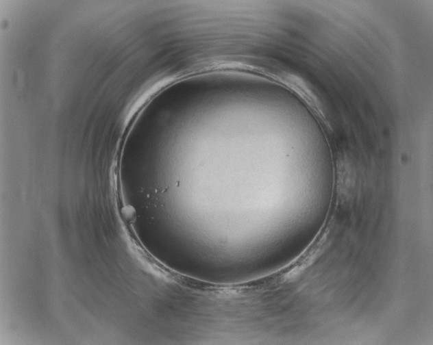 X0000067520814200604071320