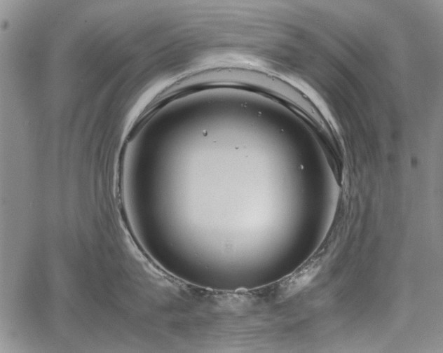 X0000067520815200604071320