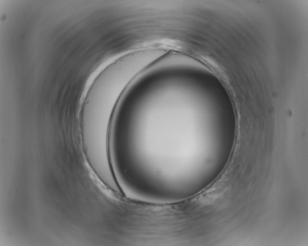 X0000067520816200604071320