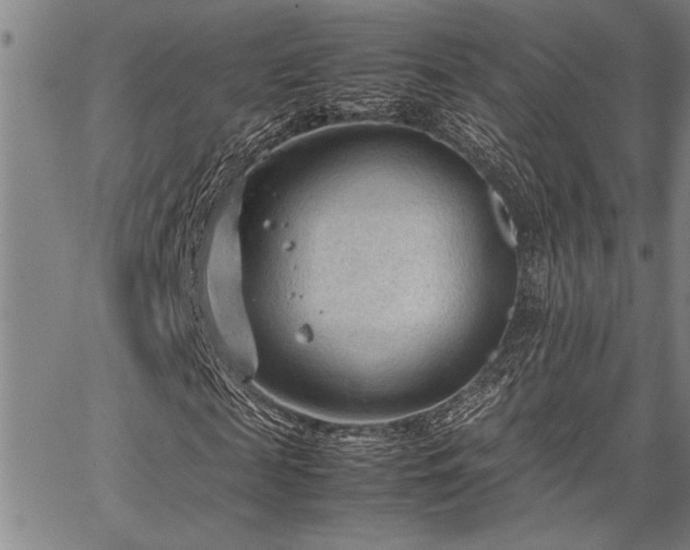 X0000067520817200604071319