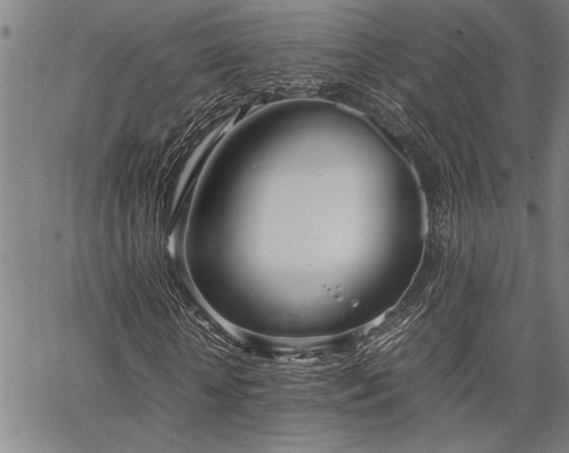 X0000067520818200604071319