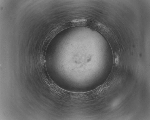 X0000067520819200604071319