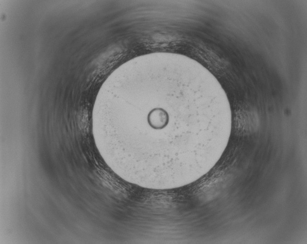 X0000067520820200604071319