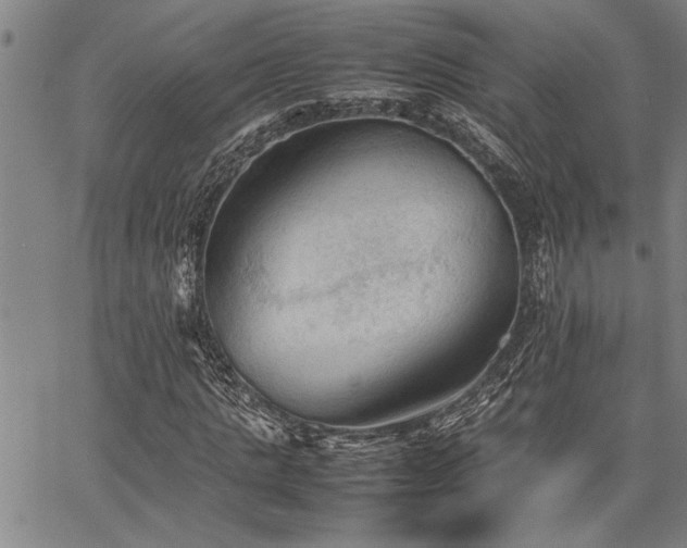 X0000067520821200604071319