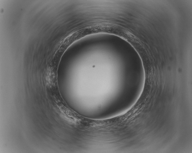 X0000067520822200604071319