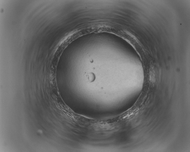 X0000067520823200604071319